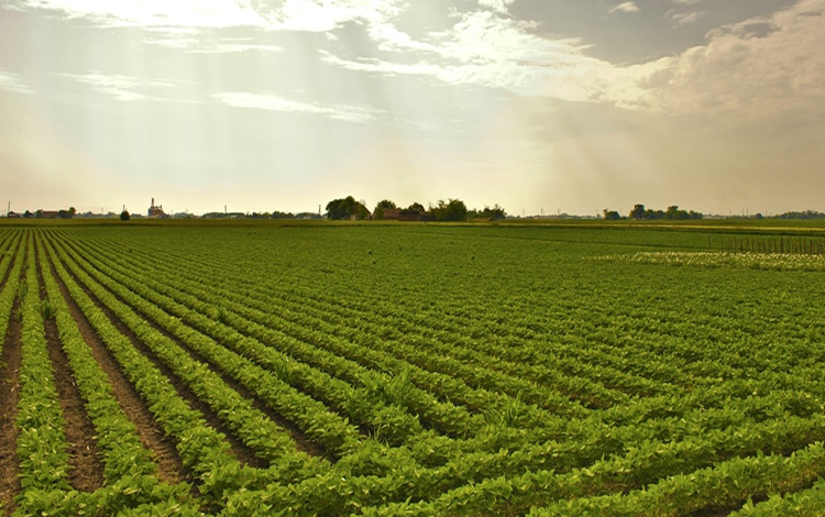 project-slider-image