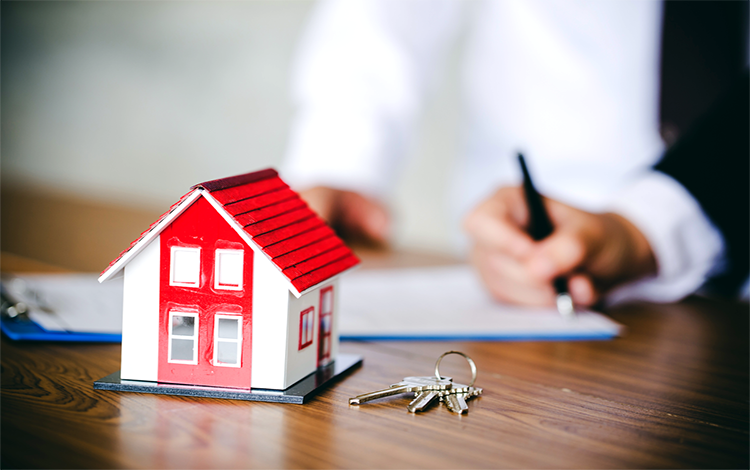 project-slider-image